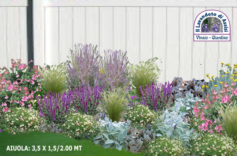 Vendita piante online. Piante perenni per aiuola 3,5 x 1,5/2 circa. Piante per aiuole fai da te.
Aiuola sempre fiorita