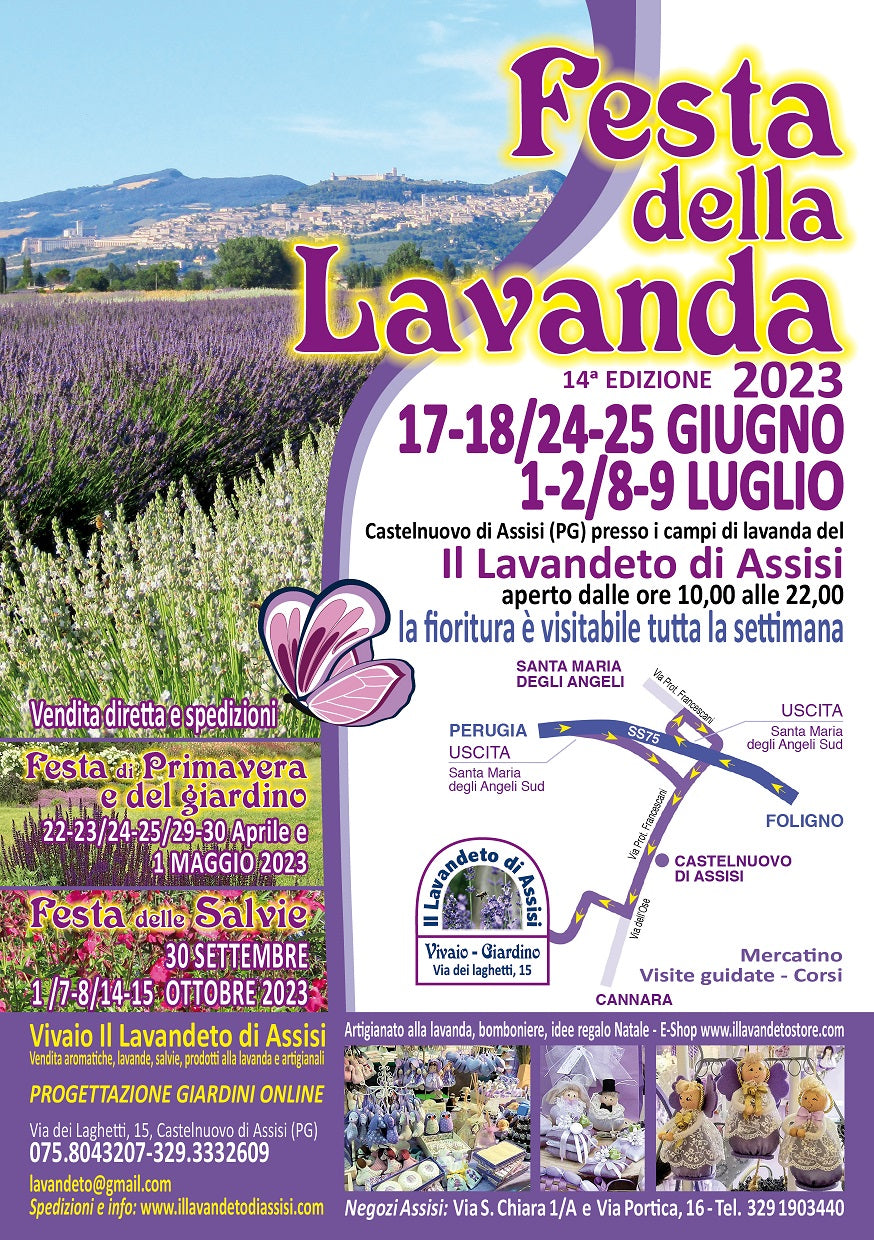 Campi di lavanda Italia, Festa della lavanda italia, dove si può vedere la lavanda fiorita Italia, I campi di lavanda più belli in Italia, Visitare la Provenza lavanda