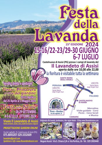 Festa_della_lavanda_2024 Picnic lavanda