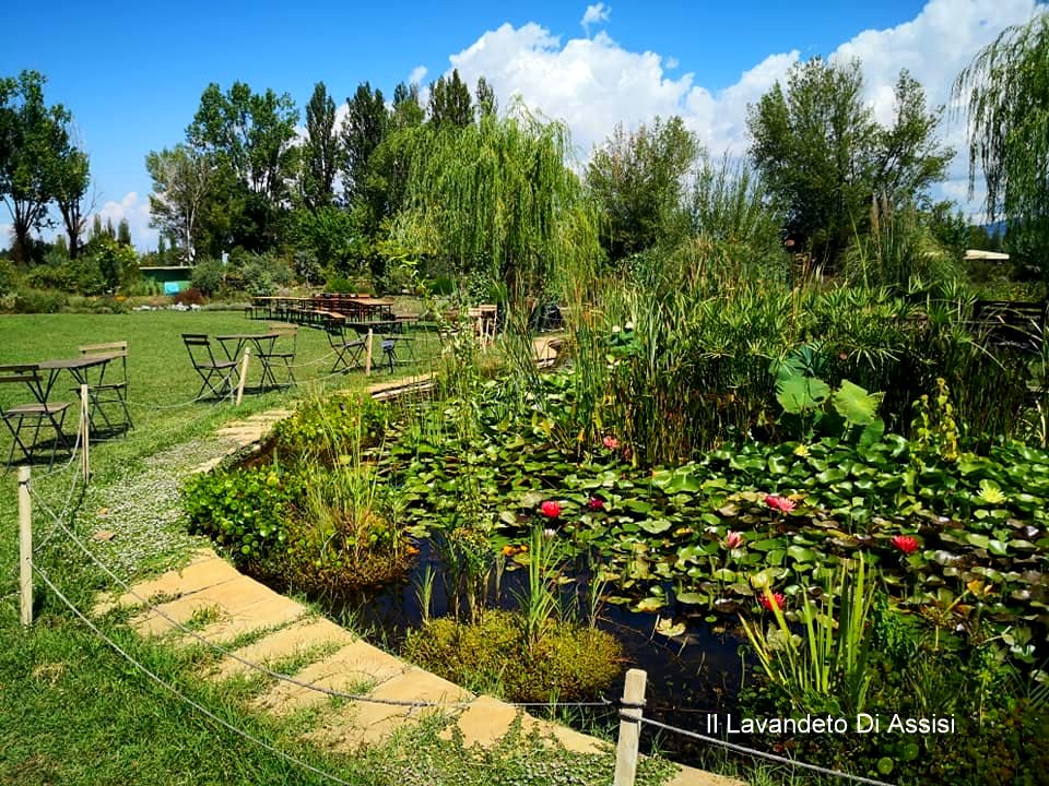 Giardino per compleanni, giardino per feste di compleanno Perugia, giardino per feste di compleanno Assisi, giardino per feste di compleanno Bambini, giardino per feste di compleanno Adulti, giardino per feste private Umbria