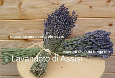 Mazzi di lavanda secchi corti blu/viola – Il Lavandeto Di Assisi