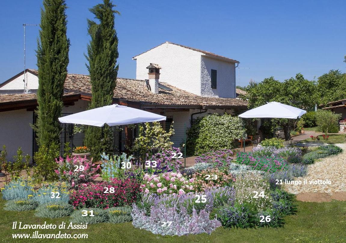 progetti giardini online, progetti gratuiti giardini, vivaio vendita piante online, progettazioni giardini