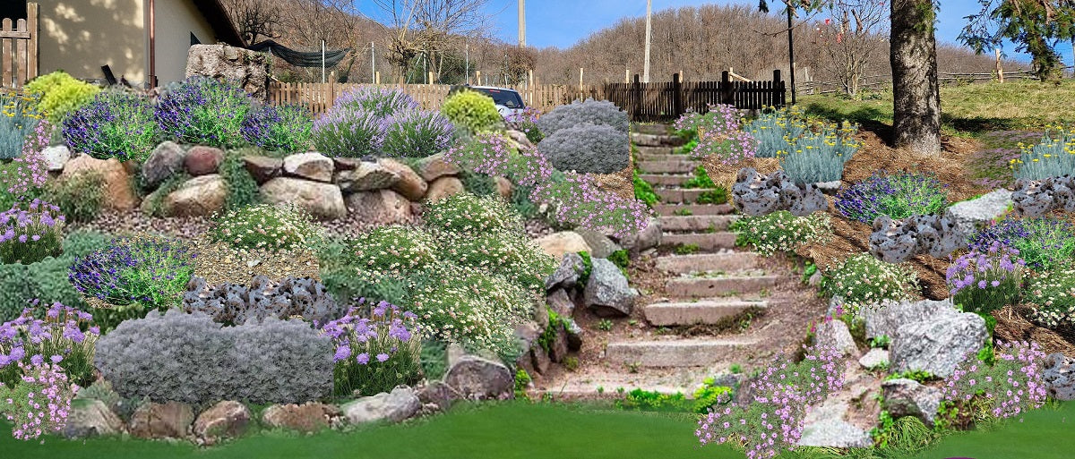 progetti giardini gratuiti, progetto scarpata, idee per giardino, idee per aiuola in pendenza, progettazione giardini online, come realizzare un' aiuola, piante per giardino secco