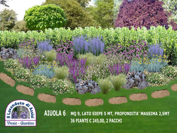 Vendita piante online, idee per piccoli giardini, creare un' aiuola con piante perenni, aiuole fai da te, immagini di aiuole giardino. progetti giardini fai da te, bordure per perenni, piante da giardino al sole