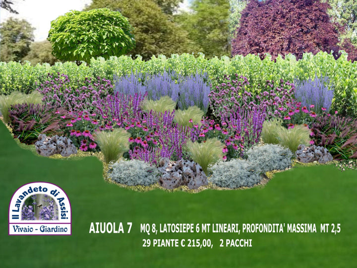 Giardino fai da te, giardino fai da te economico, aiuola fai da te con piante perenni. Realizza un'aiuola con lavanda, erbacee perenni, graminacee e arbusti di salvia da fiore è un bellissimo giardino pensile caratterizzato da una varietà di piante e elementi naturali. La lavanda offre un profumo stupendo, Piante perenni a bassa manutenzione, aiuola con fiori viola o blu, Aiuola con piante a bassa manutenzione