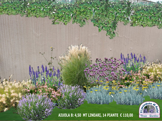 Un'aiuola con lavanda, erbacee perenni, graminacee e arbusti di salvia da fiore . giardino fa da te, giardino economico fai da te, aiuole fai da te, progettazione giardini, aiuola con elicriso, aiuola con stipa, aiuola a bassa manutenzione, aiuola con salvie ornamentali, aiuola fiorita immagini, graminacee ornamentali, aiuole da copiare immagini
