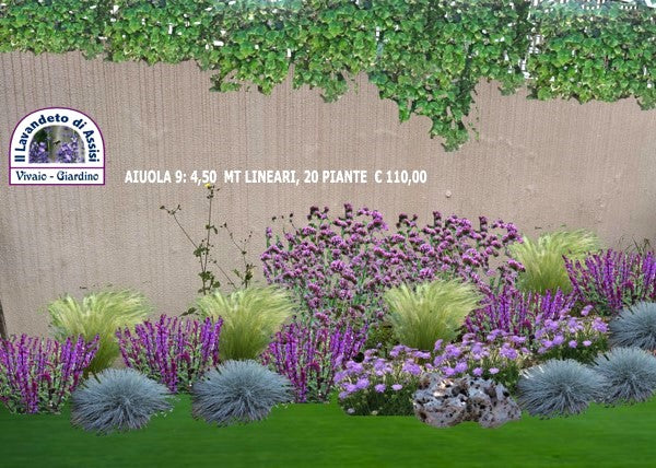 aiuola in fiore giardino aromatico, lavanda profumata erbacee perenni colorate graminacee ornamentali arbusti di salvia piante perenni giardino a bassa manutenzione piante per il giardino lavanda e salvia giardino fiorito