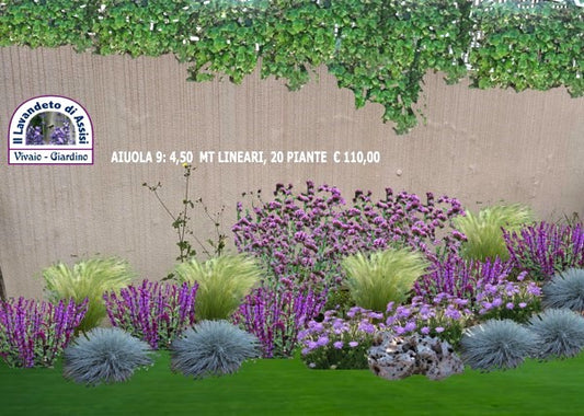 aiuola in fiore giardino aromatico, lavanda profumata erbacee perenni colorate graminacee ornamentali arbusti di salvia piante perenni giardino a bassa manutenzione piante per il giardino lavanda e salvia giardino fiorito