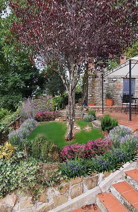 progetti giardini gratuiti, progetti piccoli giardini da copiare, progetti piccoli giardini, progettazione giardini online, come realizzare un' aiuola, piante per giardino secco