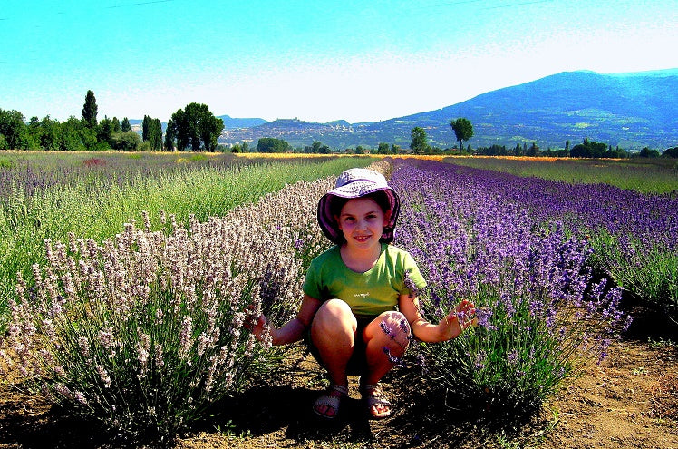 Campo di lavanda in Italia, fioritura della lavanda in Italia, campo per foto moda tra la lavanda in Italia, lavandeto in Italia, lavandeti da visitare, il lavandeto