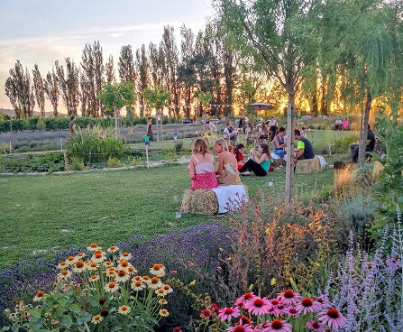 cena in giardino, giardini dove fare un compleanno, lavandeto, lavandeti. il lavandeto, picnic sulla lavanda