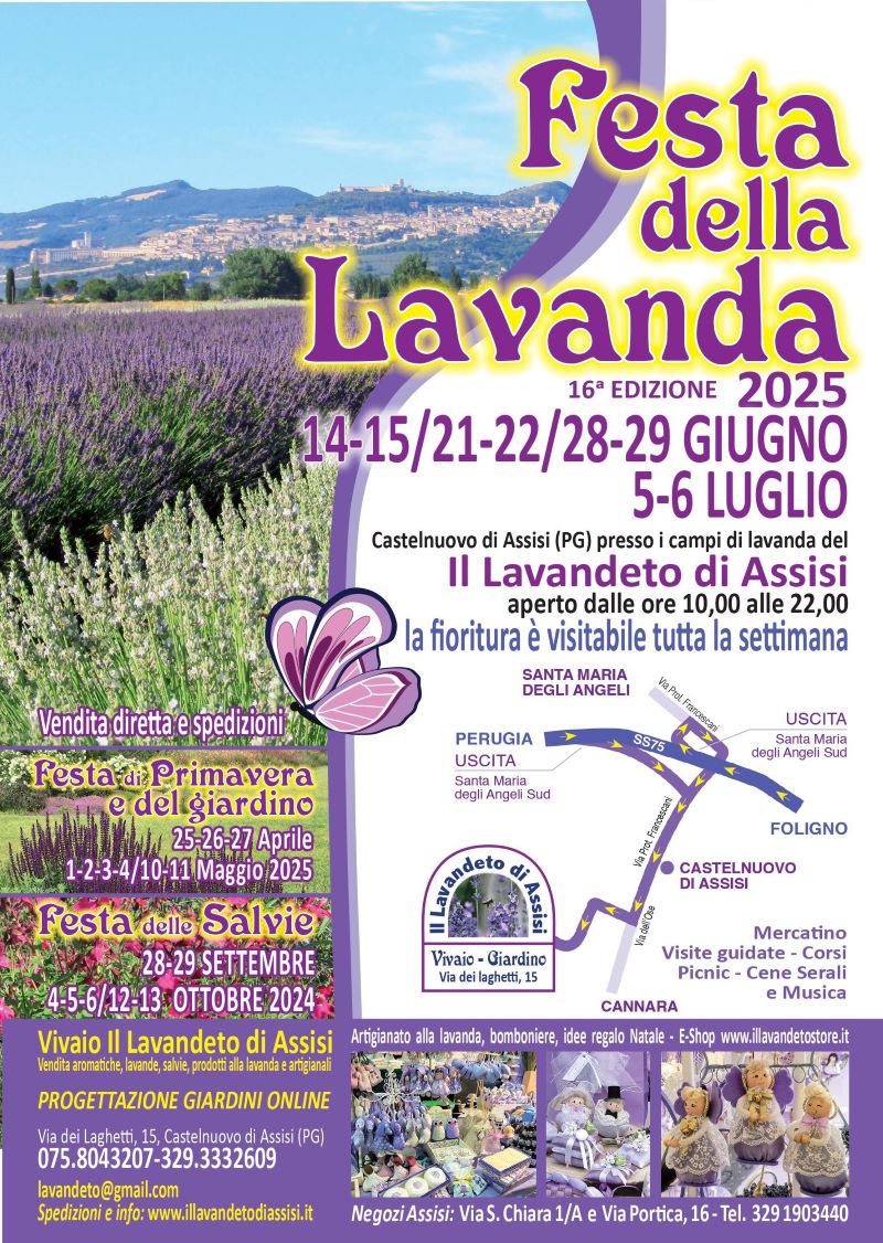 Festa della lavanda 2025. festa della lavanda, eventi Assisi, Natale Assisi