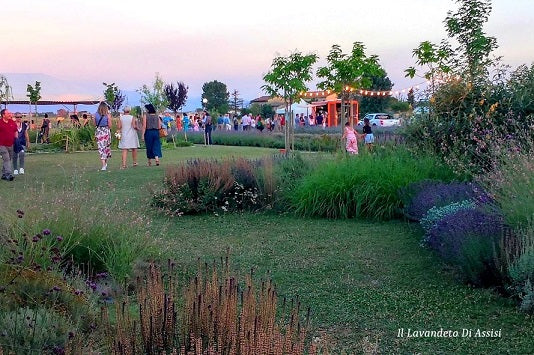 giardino per eventi, giardino per eventi privati, giardino per compleanno, giardino per compleanno Assisi, dove festeggiare il compleanno Perugia, giardino per feste Umbria
