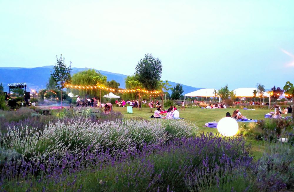 Picnic in giardino, feste di compleanno in giardino, battesimo in giardino, picnic tra la lavanda, cena con musica dal vivo, area picnic Assisi, cosa fare Assisi, eventi Assisi, festa della lavanda Assisi, eventi perugia, eventi in Umbria