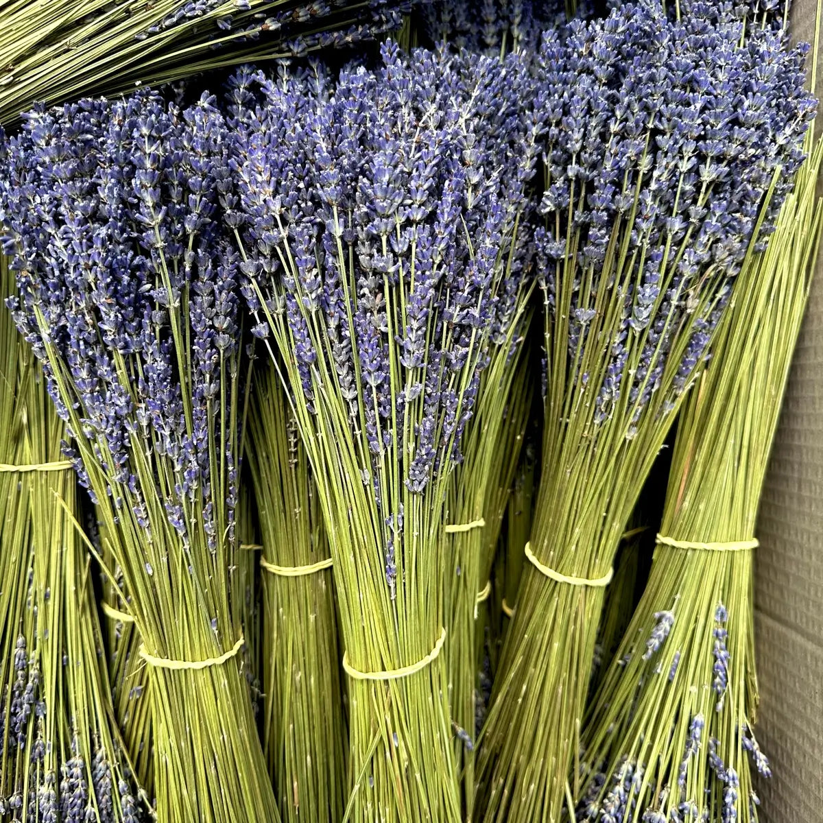 Fiori di lavanda secchi 100% naturali aromatici per decorazione, deodoranti e lavorazioni fai da te (1000 g Fiori di lavanda secchi 100% naturali aromatici per decorazione, deodoranti e lavorazioni fai da te (1000 g