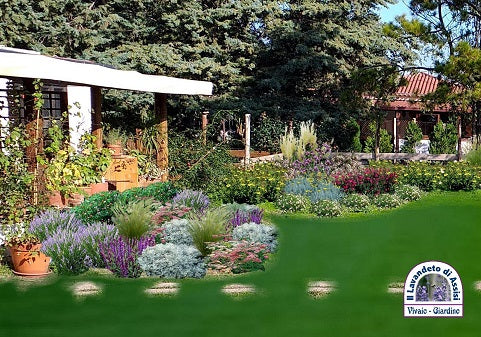 Progetti giardini online, progettazione giardini, progetti terrazzi, progetti piccoli giardini privati , idee per aiuole al sole, idee per terrazzi con piante perenni a bassa manutenzione. Immagini giardini, aiuole davanti casa,