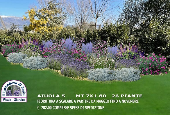 idee per aiuole, piante per aiuole al sole, progetti giardini gratuiti, progetti piccoli giardini da copiare, progetti piccoli giardini, progettazione giardini online, come realizzare un' aiuola, piante per giardino secco, idee per aiuole da copiare, realizzare un aiuola facile, piante per realizzare giardino al sole