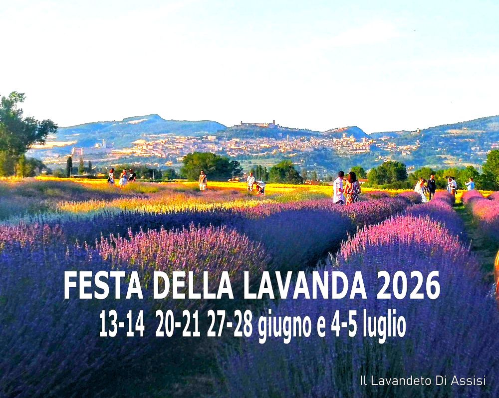 Calendario gratis da stampare, calendario da stampare, calendario con lavanda, calendario con fiori, calendario Assisi, calendario 2026, 