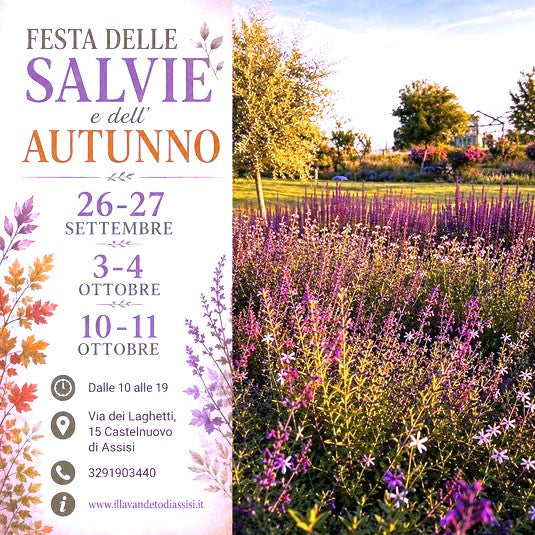 Eventi in Umbria, eventi un Umbria settembre, eventi in Umbria ottobre, eventi Perugia settembre, eventi Perugia  ottobre