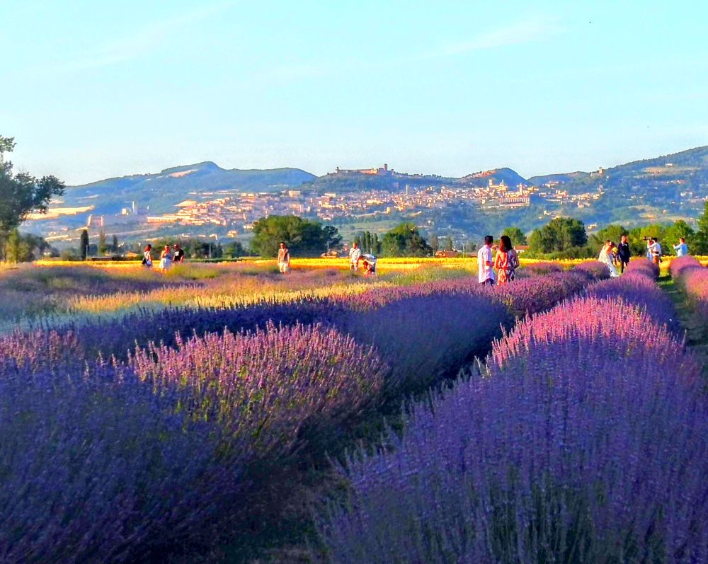 eventi in Umbria, eventi Assisi, eventi ottobre Assisi, Cosa vedere Assisi ottobre, cosa fare Assisi settembre, eventi in Umbria domani, eventi Perugia ottobre, eventi Perugia settembre.  Eventi in Umbria 2026 aprile, eventi in Umbria maggio, eventi in Umbria giugno, eventi in Umbria luglio, eventi in Umbria settembre, eventi in Umbria ottobre, attrazioni all'aperto di Umbria, attrazioni in Umbria, dove andare la domenica con i bambini