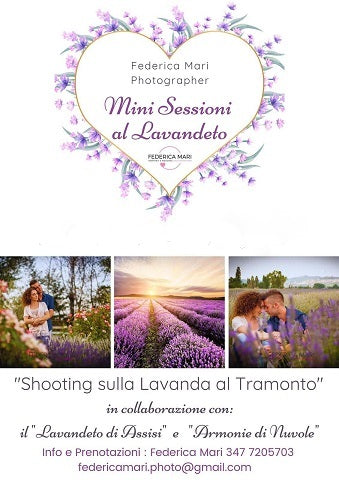 Servizi fotografici sulla lavanda, fotografie nei campi di lavanda