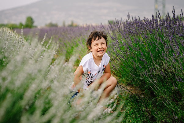 Campi di lavanda in Italia, Festa della lavanda 2024, Dove vedere i campi di lavanda, dove vedere la lavanda fiorita, servizi fotografici sulla lavanda