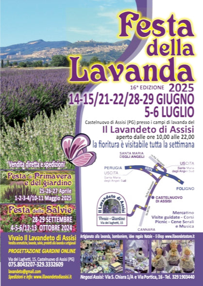 Eventi Assisi, Eventi assisi 2025, assisi news, assisi eventi giugno e luglio