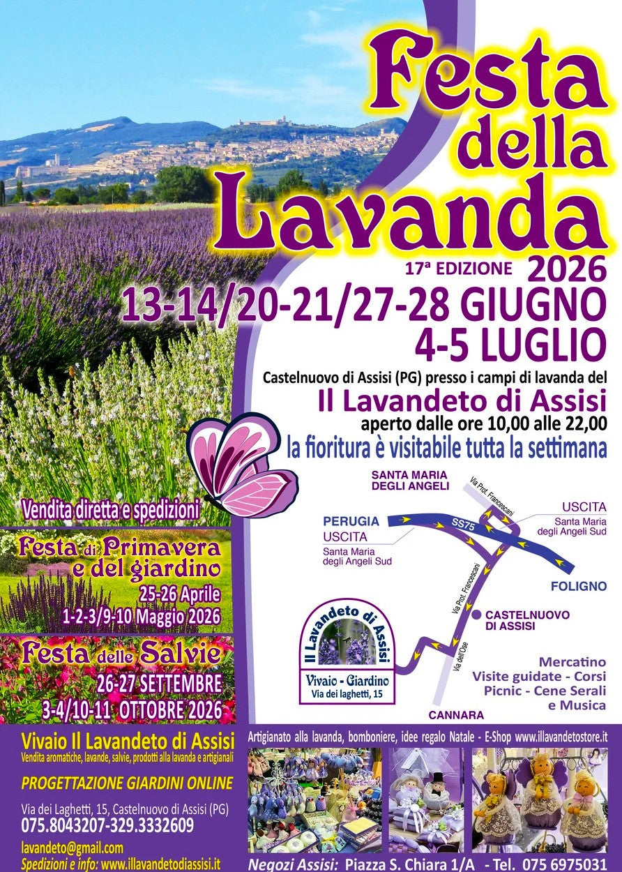 Festa della lavanda 2026 - idee regalo Natale 2026 : regali di Natale 2026
