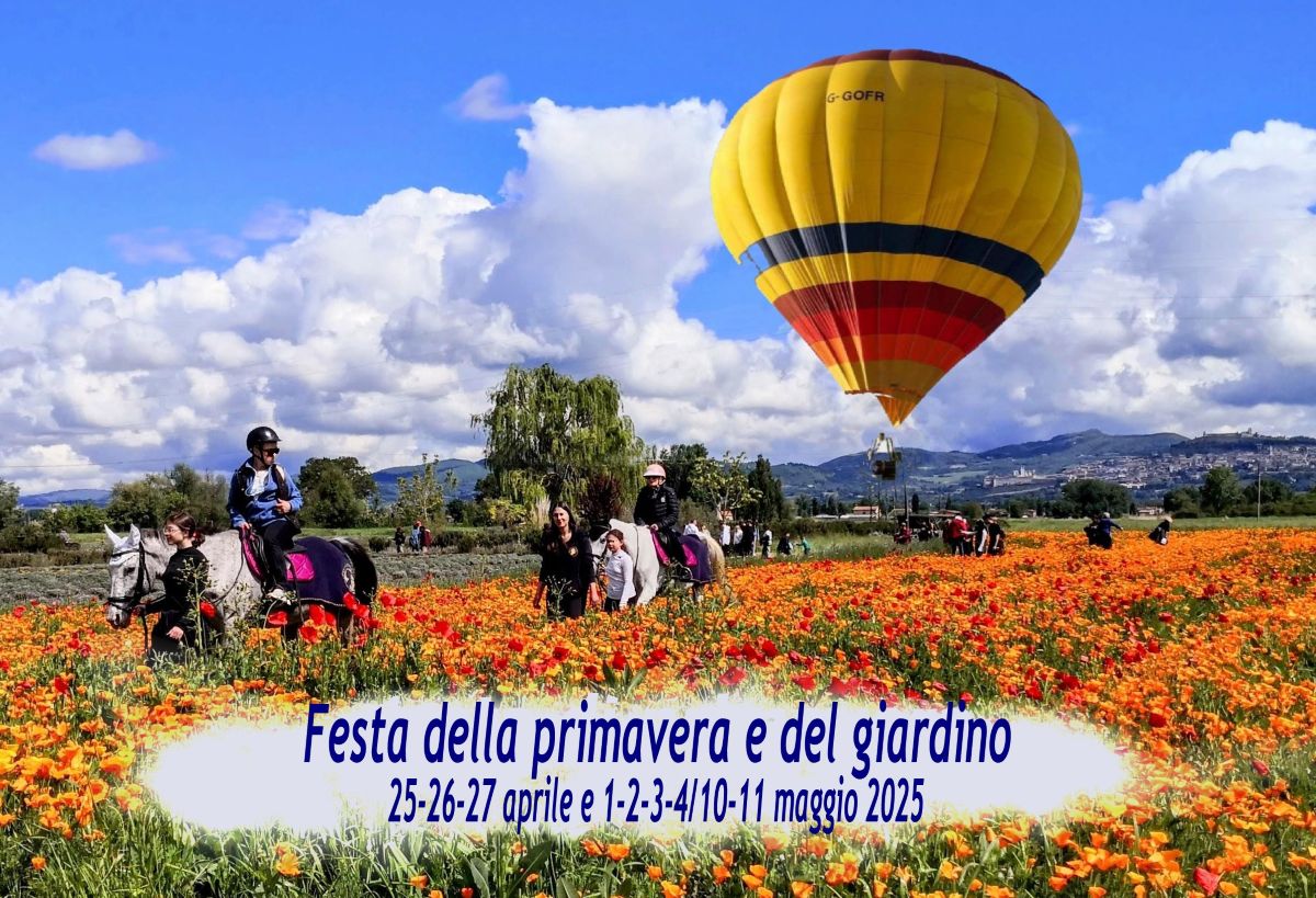 Cosa fare ad Assisi,  aprile Assisi Cosa fare Assisi maggio, festa della primavera, eventi Assisi, attrazioni Assisi, festa dei papaveri, campi di papaveri, escolzia, papaveri della California, Campi di papaveri da visitare, fioritura dei papaveri in Italia, cosa fare Perugia maggio 2025, eventi Perugia, Eventi in Umbria, Assisi aprile 2025
