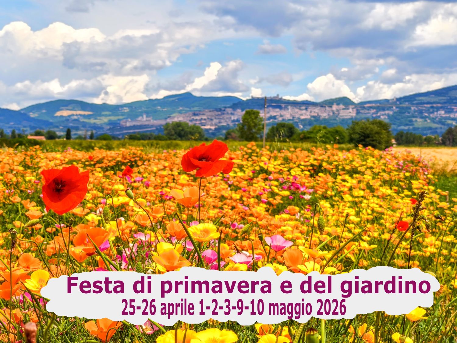 Eventi Assisi, eventi Perugia, eventi in Umbria, eventi Aprile, eventi maggio, eventi Assisi aprile, eventi Assisi Maggio, eventi in Umbria aprile, eventi in Umbria maggio
