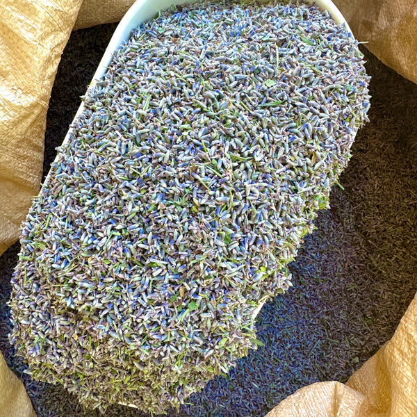 lavanda sfusa, lavanda sgranata, fiori di lavanda, semi di lavanda, vendita lavanda online, lavanda sfusa vendita