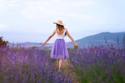 Visita campi di lavanda in fiore. Fioritura della lavanda