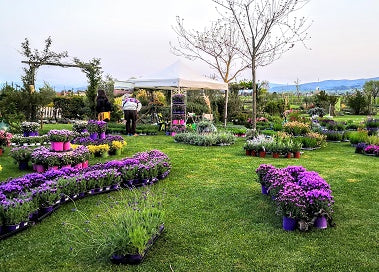 mostra mercato di piante e fiori in Umbria Perugia, mostre mercato piante primavera, mostre di florovivaismo Aprile e maggio, parchi da visitare in aprile e maggio
