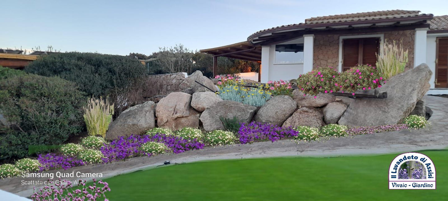 Online garden projects