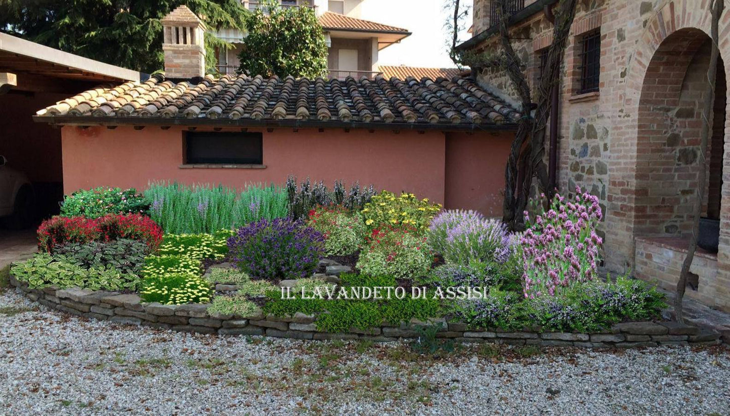 Online garden projects