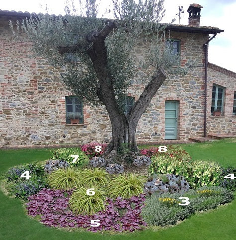 Progettazione piccoli giardini, idee per aiuole giardino, aiuole Fai d ...