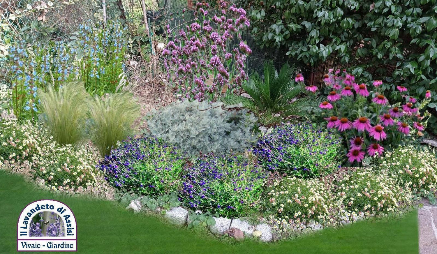 progetti giardini gratuiti, rendering aiuole, progettazione giardino online, esempi di giardino
