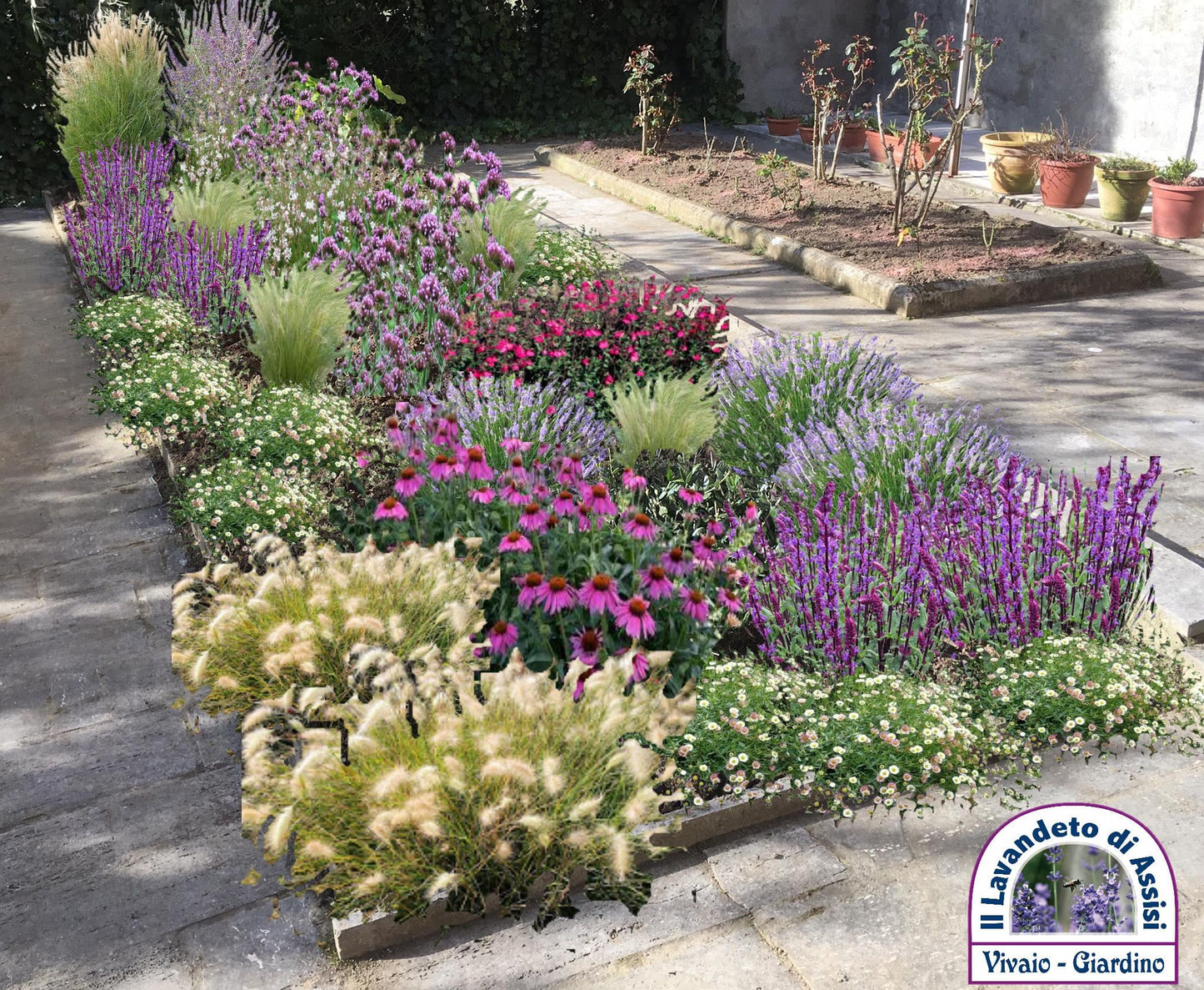 progetti giardini da copiare, piccoli giardini bellissimi, aiuole progetti, giardini da copiare, aiuole da copiare, come progettare un giardino da soli, giardino con echinacee, giardino con stipa, 