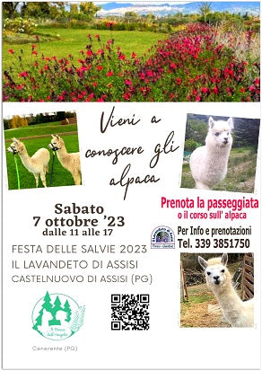 alpaca_festa_delle_salvie