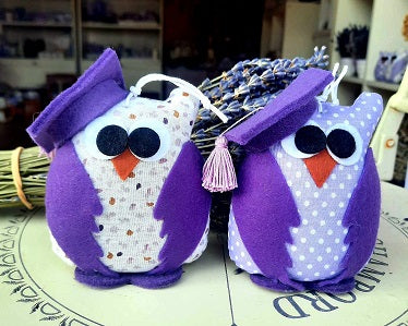 Lavender owl bag for graduation