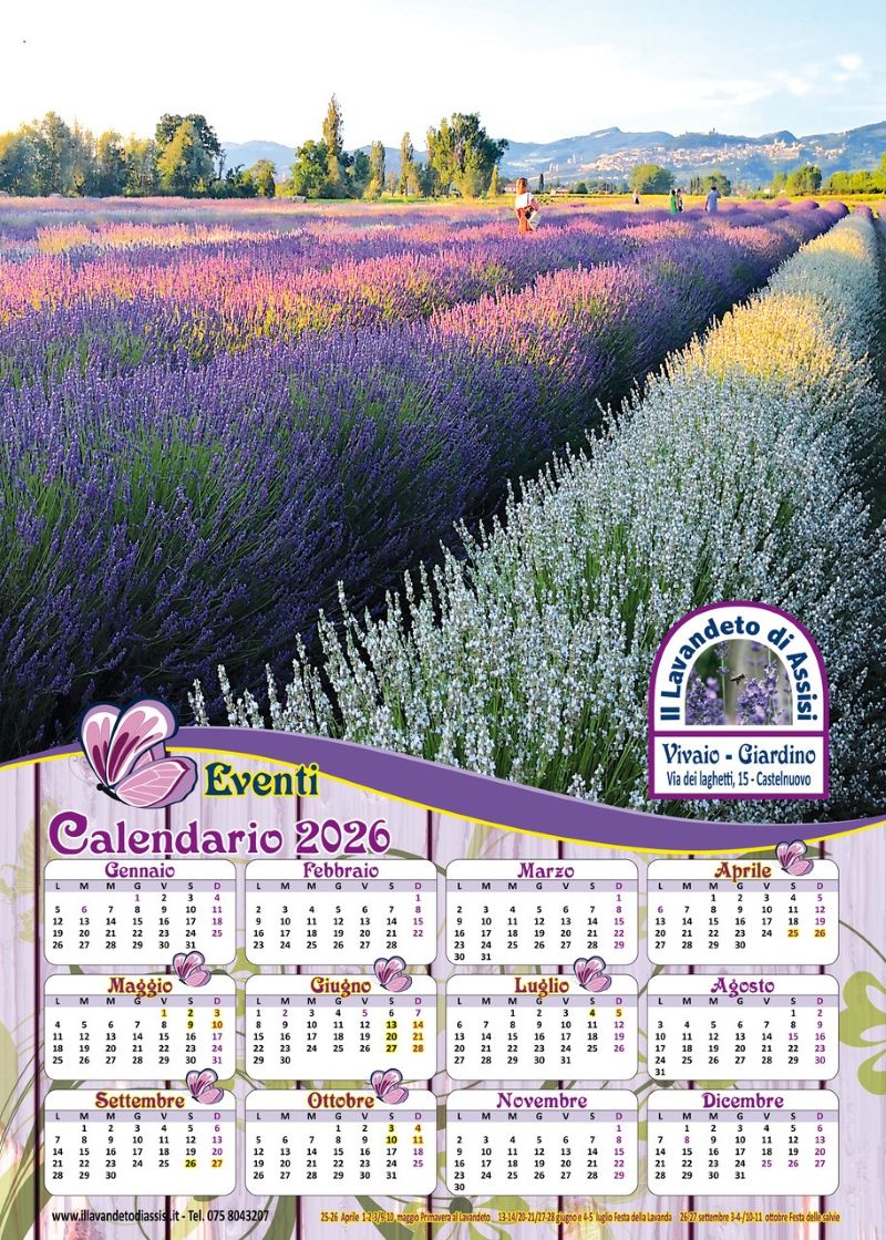 Calendario 2026 gratis, calendario 2026 gratuito, calendario 2026 Babbo Natale,  calendario 2026 omaggio, calendario 2026 con fiori, calendario 2026 con lavanda, calendario 2026 gratis. Calendario  natalizio, calendario campi di lavanda, Calendario Assisi 2025, calendario 2026 da appendere, Calendario Assisi gratis, calendari natalizi, idee regalo calendario, idee regalo Natale 2026, calendario 2026 con paesaggio, calendario 2026 da stampare gratis, calendario 2026 annuale, calendario 2026 con festività,