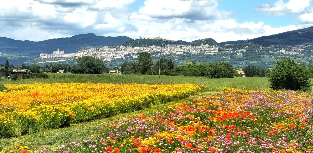 Visita guidata del Parco sabato 17 maggio
