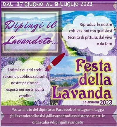 dipingere campi di lavanda in fiore