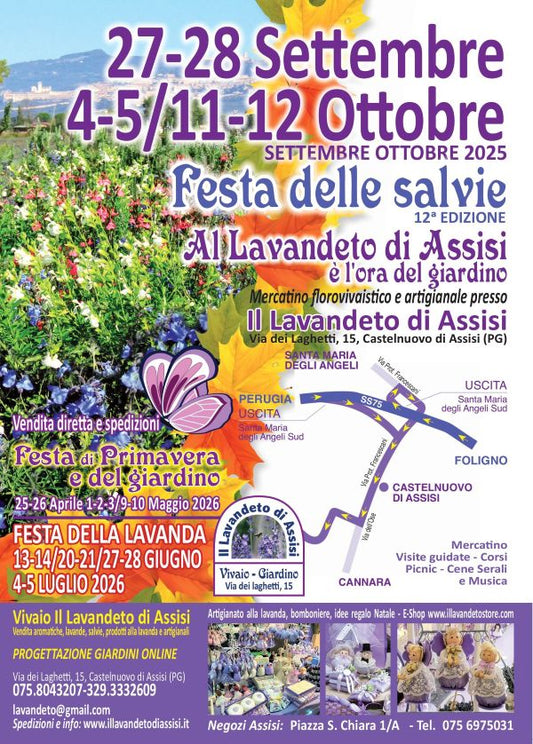 Eventi in Umbria, eventi Assisi, eventi Perugia, mostre mercato florovivaismo.  Festa delle Salvie di Assisi al Lavandeto, giardini in fiore con salvie colorate e vista su Assisi