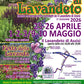 Festa della Primavera di Assisi al Lavandeto, mostra mercato di piante e fiori con vista su Assisi, eventi Assisi, eventi Perugia, eventi In Umbria, eventi aprile, eventi maggio, manifestazioni in Umbria aprile, cosa fare in Umbria ad aprile