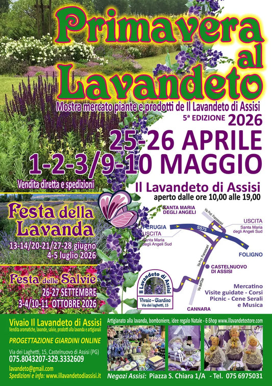 Festa della Primavera di Assisi al Lavandeto, mostra mercato di piante e fiori con vista su Assisi