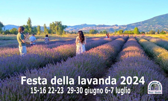 Calendario gratis da stampare, calendario da stampare, calendario con lavanda, calendario con fiori, calendario Assisi