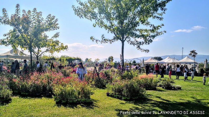 Eventi in Umbria, mostra mercato piante e fiori Perugia, mostra di giardinaggio in Umbria, eventi in Umbria, eventi Perugia settembre e ottobre 2025 Assisi news, eventi Assisi, eventi Assisi 2025, manifestazioni Perugia