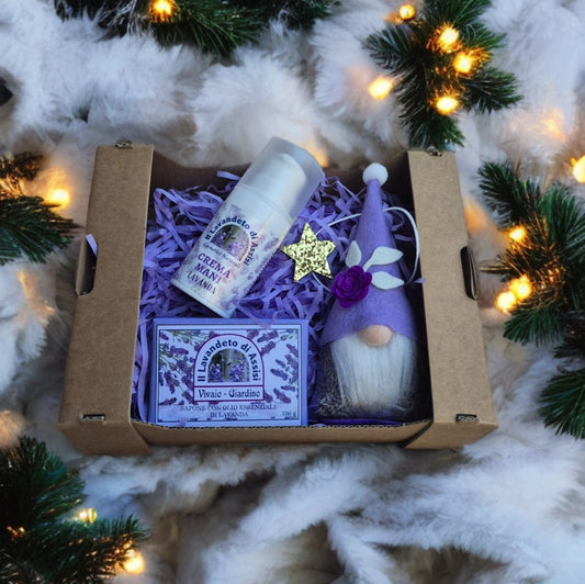 cosa fare Assisi dicembre 2025, eventi Assisi, offerte su piante, eventi in Umbria. Manifestazioni Assisi, eventi Perugia. Cosa fare Assisi week end