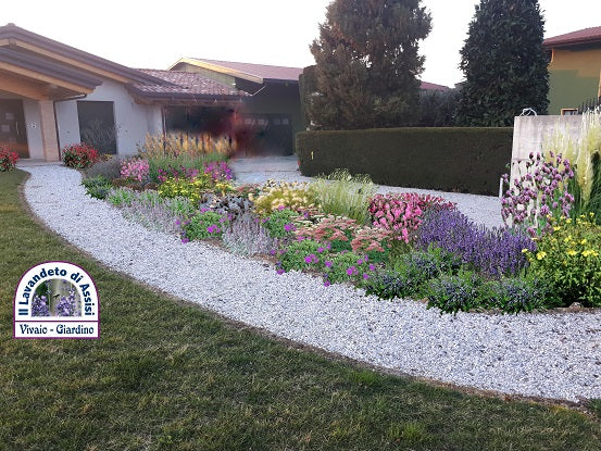 Progetto giardino pieno sole, progettazione giardini online, progetti giardini a bassa manutenzione gratis, idee per giardino in pieno sole, crea il tuo giardino gratis, idee per giardino fai da te, idee per giardino con poche cure